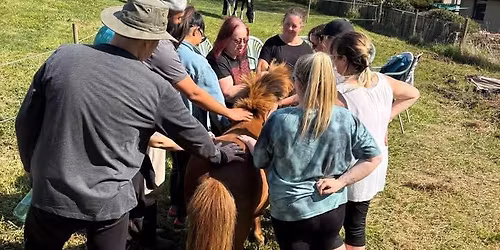 Canter Cafe Session Monday 6-7.30pm