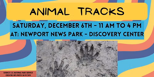 Animal Tracks