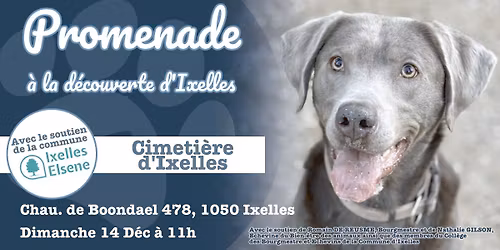 Promenade collective \u00e0 Ixelles - Gratuit