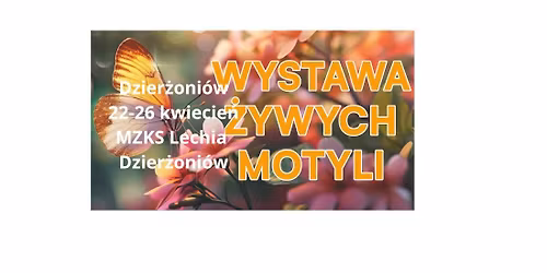 Wystawa \u017cywych motyli.