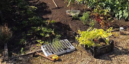 Potager : cultiver tout au long de l'ann\u00e9e - Plan de culture