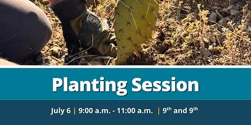 Planting Session - 9th and 9th