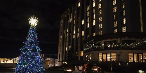 Holiday in The Hills