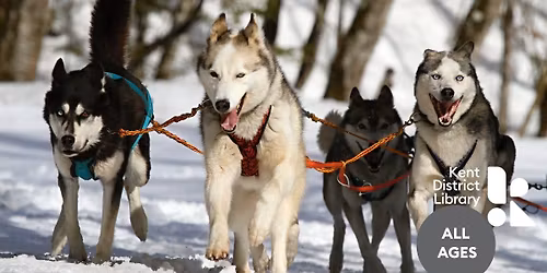 Meet the Sled Dogs
