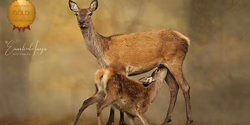 For The Love of Wildlife