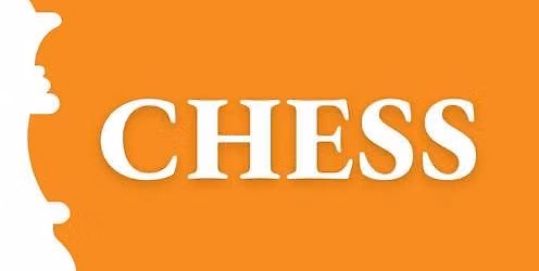 Chess at the library