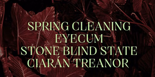 Spring Cleaning, Eyecum, Stone Blind State, Ciar\u00e1n Treanor - Fibber Magees