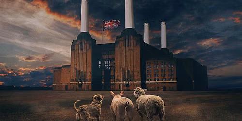 BRIT FLOYD - ANIMALS 50