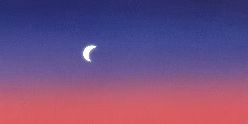 Requin Chagrin in Paris