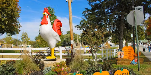 Nor-View Farm Fall Fun Festival