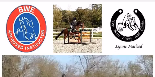 Working Equitation Training Competition November