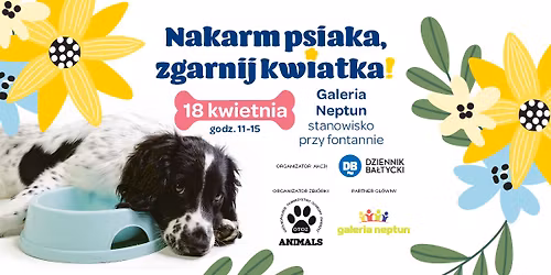 Nakarm psiaka\ud83d\udc3e, zgarnij kwiatka!\ud83c\udf38 w Starogardzie Gda\u0144skim