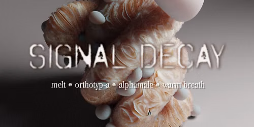 Signal Decay