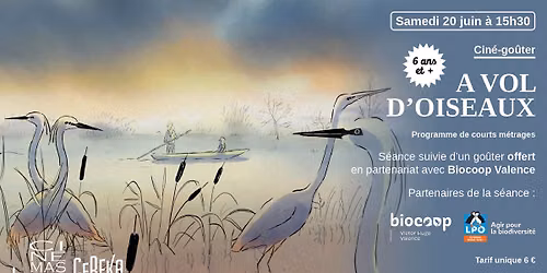 Cin\u00e9-go\u00fbter : A VOL D'OISEAUX