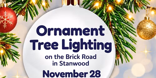 Ornament Tree Lighting