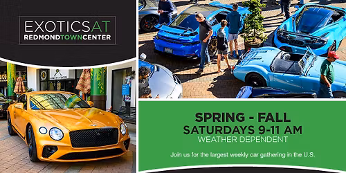 Exotics Car Show 