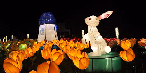 Explore Chinese Traditional Festivals 