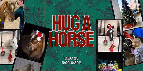 Holiday Hug A Horse & Open House