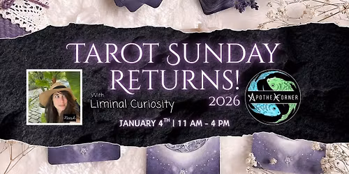 Tarot Sunday Returns 2026 | Liminal Curiosity | Apothecorner