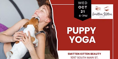 Puppy Yoga in Cheshire CT
