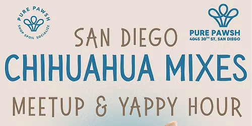 San Diego Chihuahua Mixes Meetup & Yappy Hour