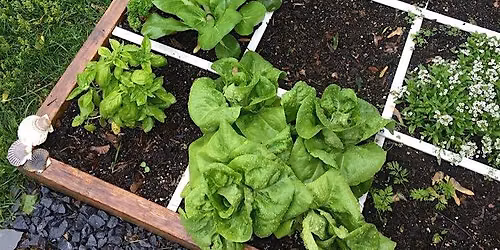 Foot by Foot\/Refresher Gardening Class 9.26