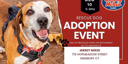 Adopt a Rescue Dog & Support Us at Jersey Mikes Simsbury CT