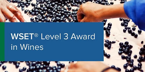 WSET Level 3 Award in Wines