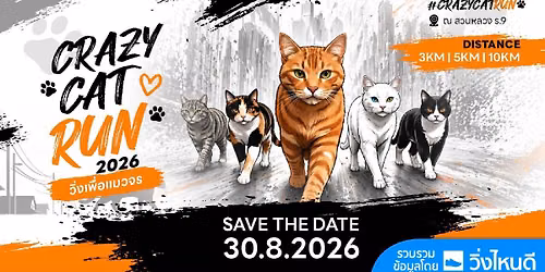 Crazy Cat Run \u0e27\u0e34\u0e48\u0e07\u0e40\u0e1e\u0e37\u0e48\u0e2d\u0e41\u0e21\u0e27\u0e08\u0e23 2026