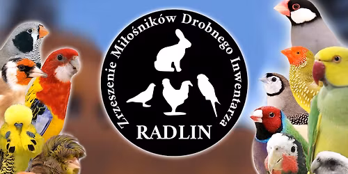 XV wystawa ptaków egzotycznych