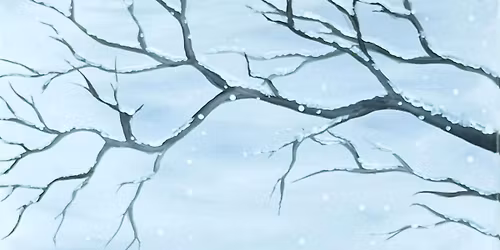 Toledo Paint & Sip Party - Cardinal in the Snow