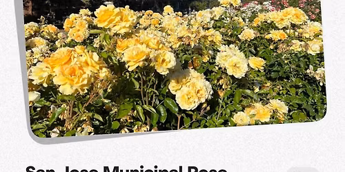 San Jose Municipal Rose Garden - Plein Air 9:30am