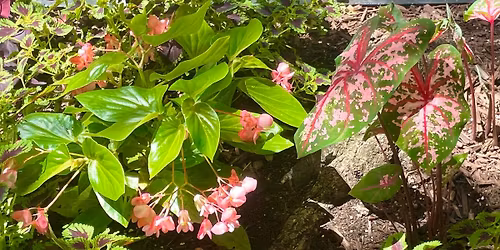 W9BA Spring Planting Day