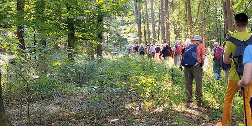 Von Tennenlohe zum Kalchreuther Felsenkeller