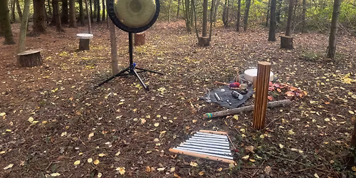 Spring Sounds & Movement In the Woodlands