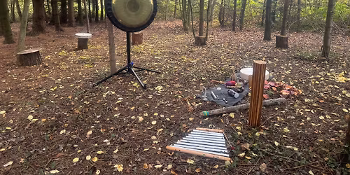 Spring Sounds & Movement In the Woodlands