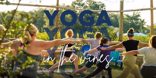 Yoga In The Vines