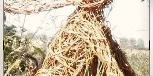 Willow Hare Workshop