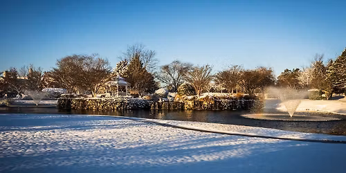 The Incredible Human-Bond: From War to Therapy