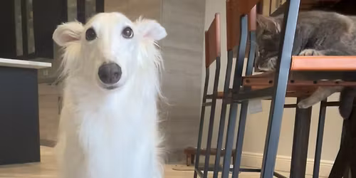 Meet the artist and booking signing.