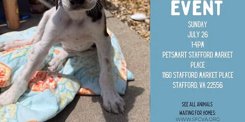 7\/26 Adoption Event at Stafford Market Place