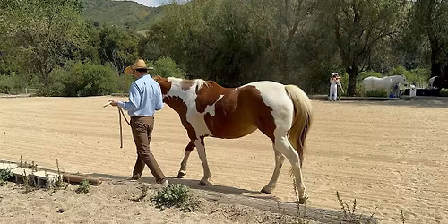 Rest and Reconnection - Soundbath & Equine Experience