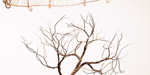 Wire Sculpture Workshop