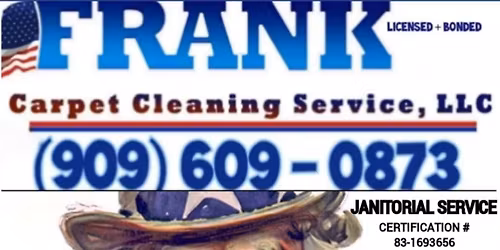 PET STAINS REMOVED, NOW!