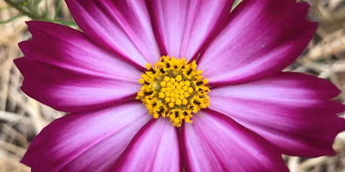 Salon Lecture Nature - March\u00e9 de Producteurs - Saint Priest sous Aixe (87)