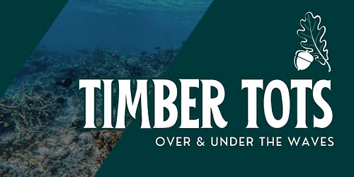 Timber Tots: Over & Under the Waves