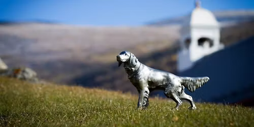 S\u00f8lvhundutstillingen 2026