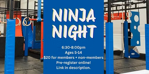 Ninja Night 