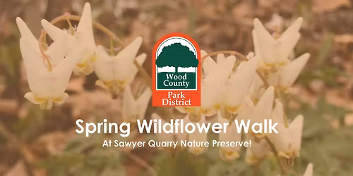 Spring Wildflower Walk