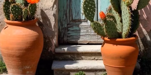 Paint Your Front Door